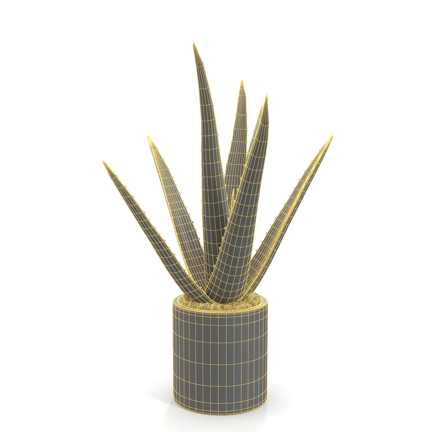 Healthy Aloe Vera Plant In Ceramic Vase PBR 3D Model_07